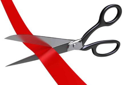 Image for How to Cut Red Tape in Blue States
