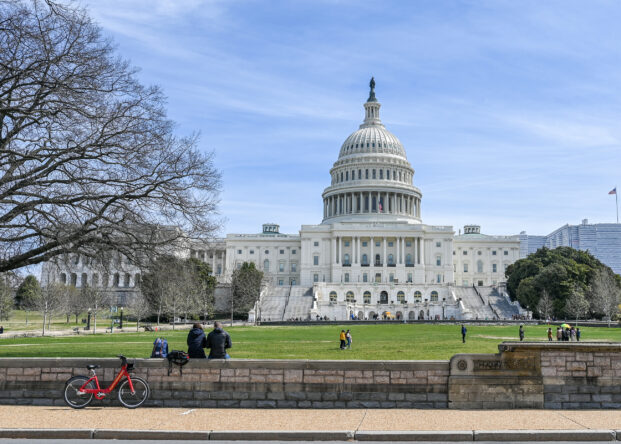 WASHINGTON DC, USA - March 27, 2019: United States Capitol and Capitol Hill viewed from the National Mall. The Capitol building is the home of US Congress.