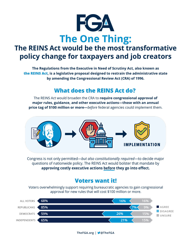 Why the REINS Act?